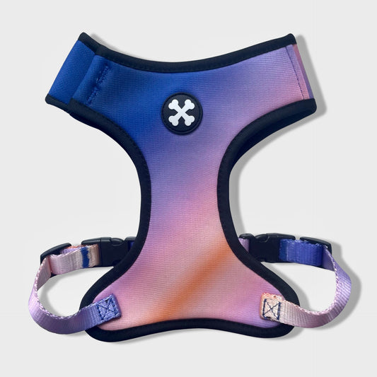 Violet Horizon Dog Harness