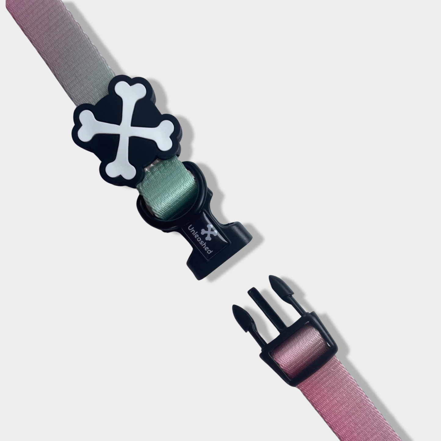 Summer Bach Dog Collar