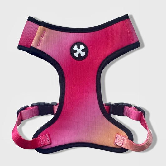 Pink Lemonade Dog Harness