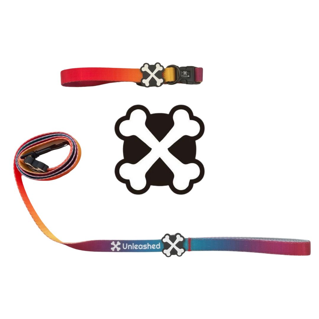 Northern Lights Couple Bundle Dog Collar & Leash