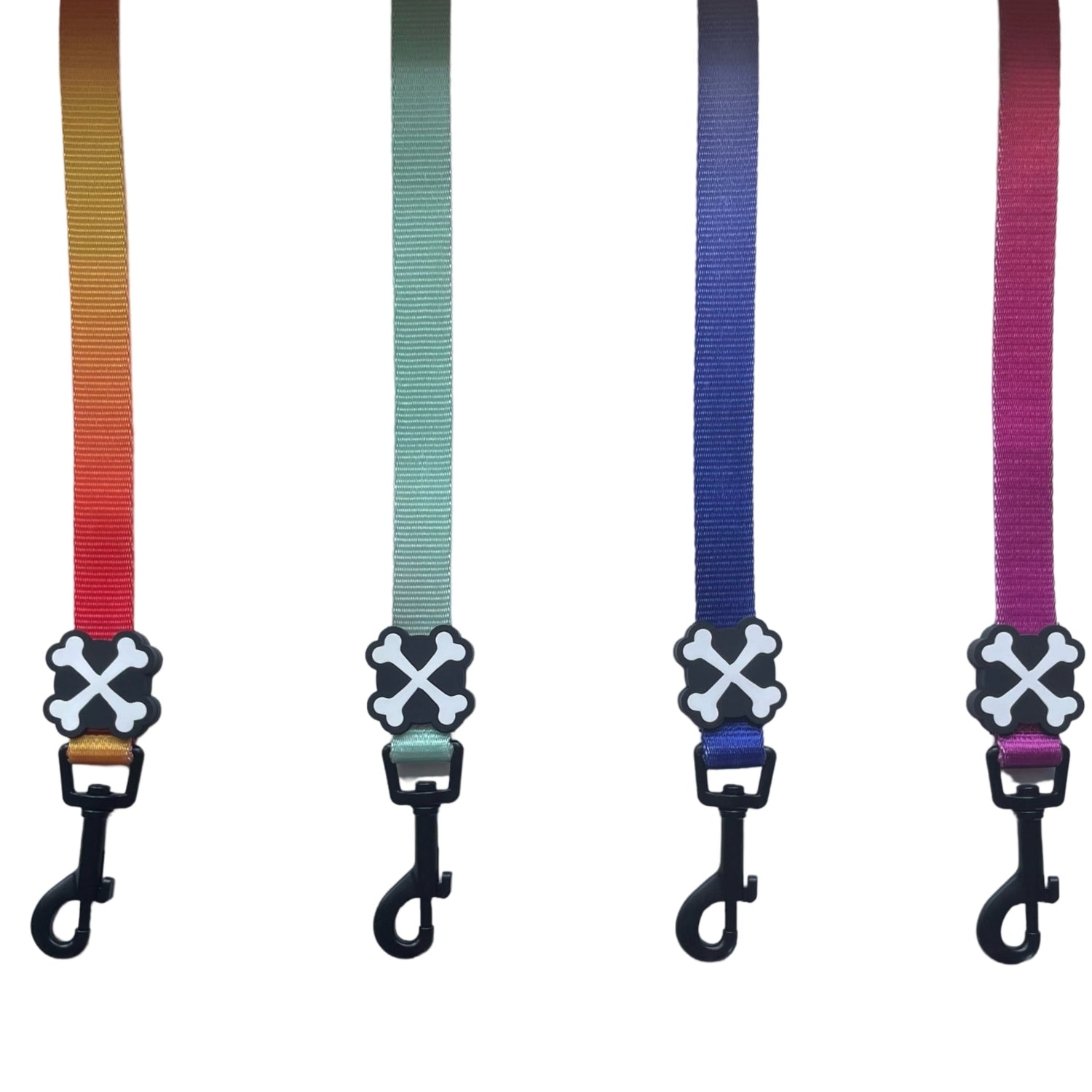 Our Dog Leashes