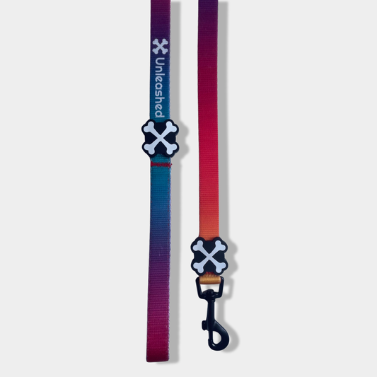 Northern Lights Dog Leash