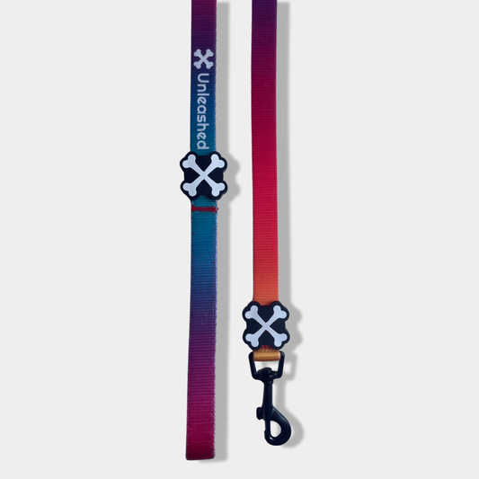 Northern Lights Dog Lead