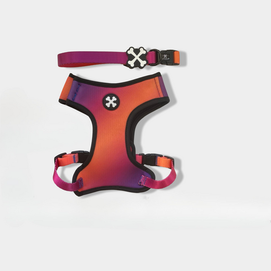 Sunset Serenity Couple Bundle Dog Collar & Harness