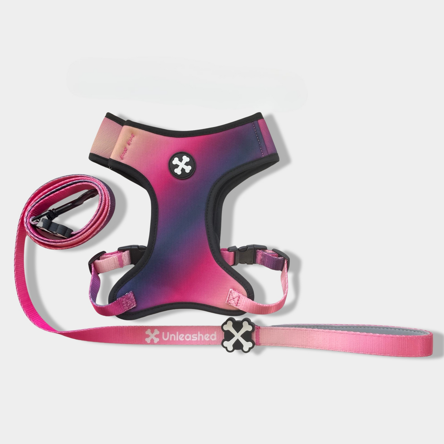 Midnight Berry Couple Bundle Dog Leash & Harness