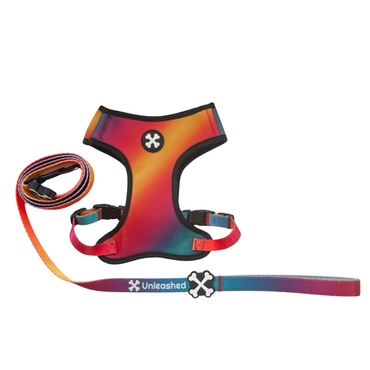 Northern Lights Couple Bundle Dog Leash & Harness