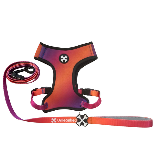 Sunset Serenity Couple Bundle Dog Leash & Harness