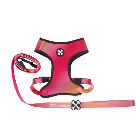 Pink Lemonade Couple Bundle Dog Leash & Harness