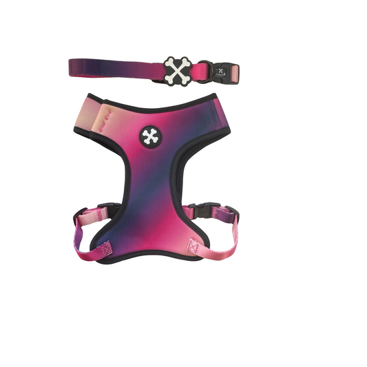 Midnight Berry Couple Bundle Dog Collar & Harness
