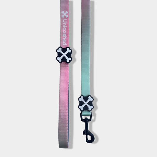 Summer Bach Dog Leash
