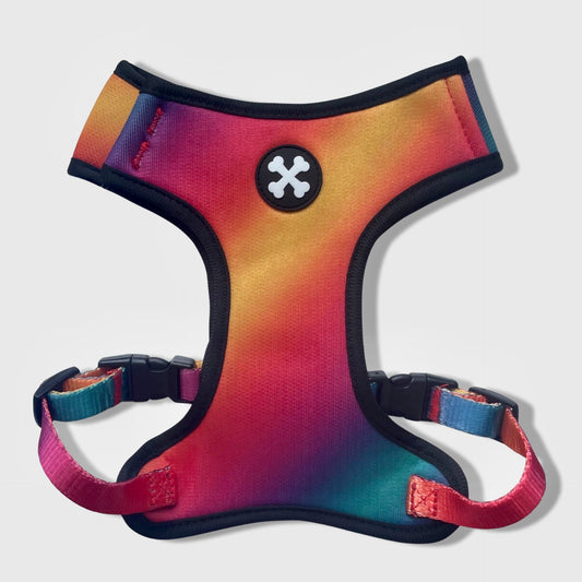 Northern Lights Dog Harness