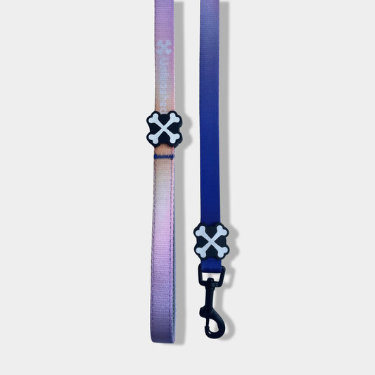 Violet Horizon Dog Leash