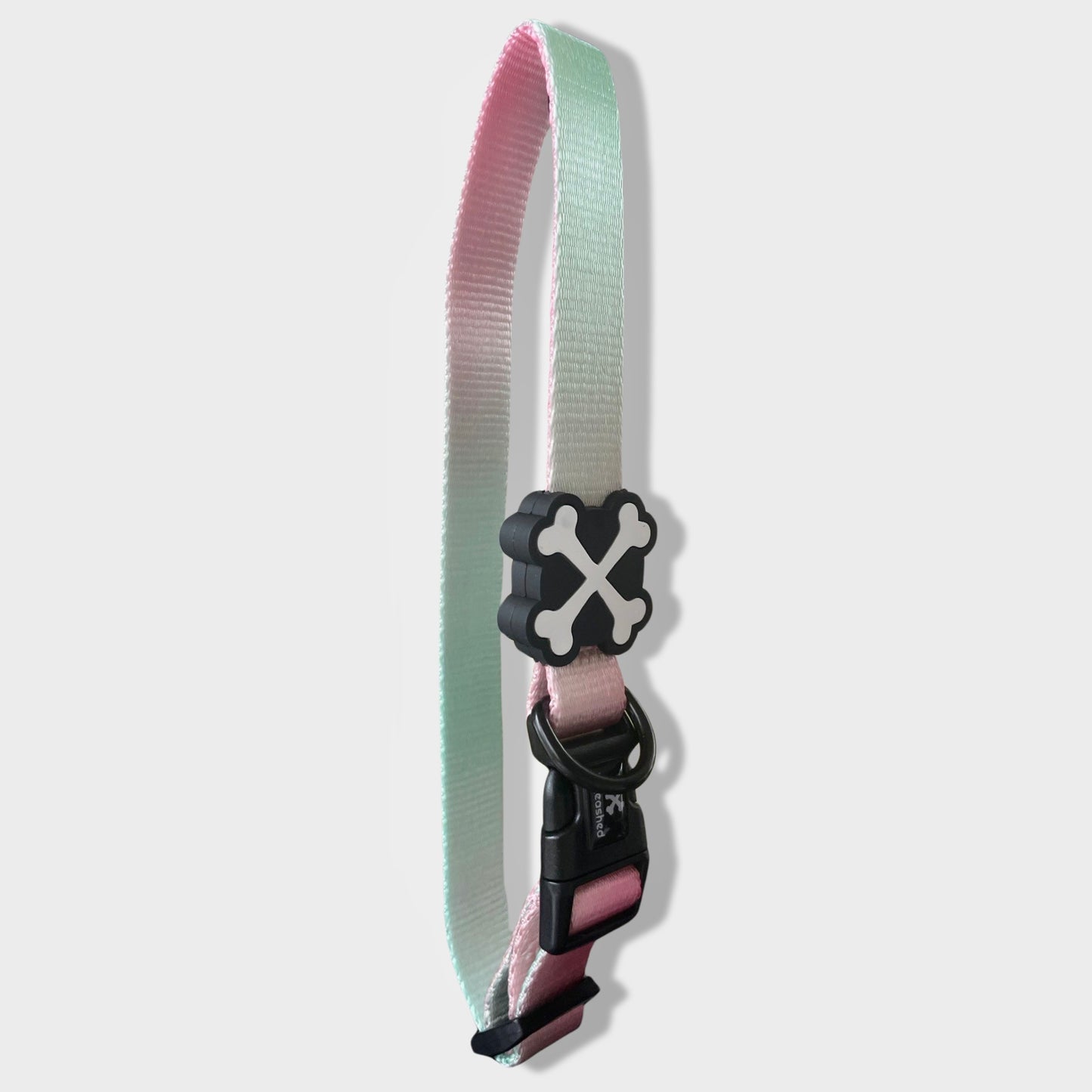 Summer Bach Couple Bundle Dog Collar & Harness