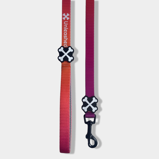 Sunset Serenity Dog Leash