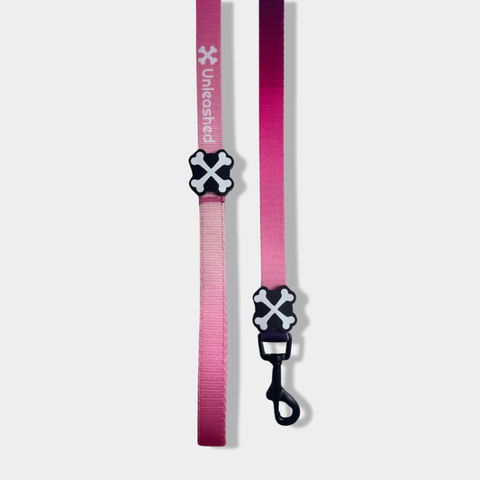 Midnight Berry Dog Leash