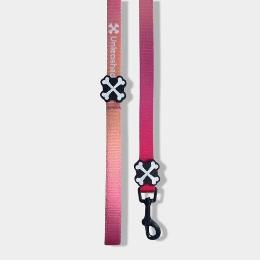 Pink Lemonade Dog Leash