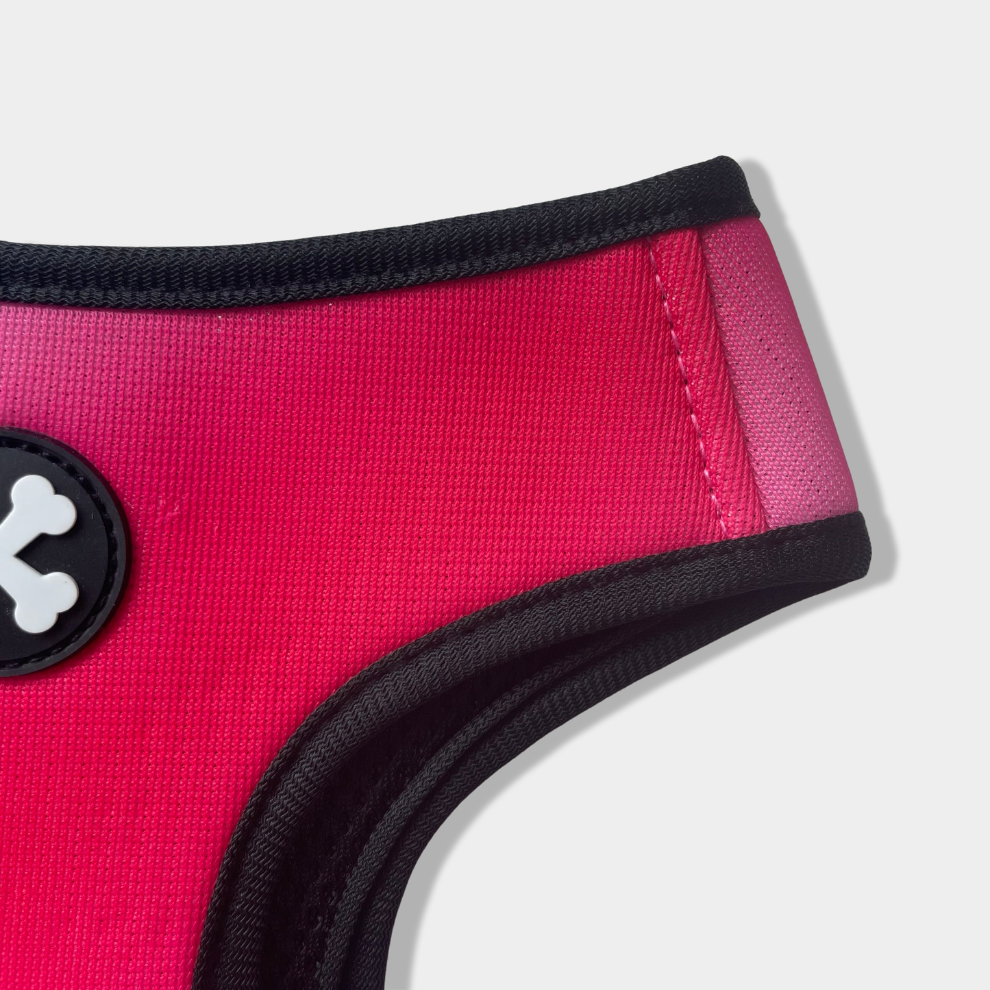 Pink Lemonade Couple Bundle Dog Leash & Harness