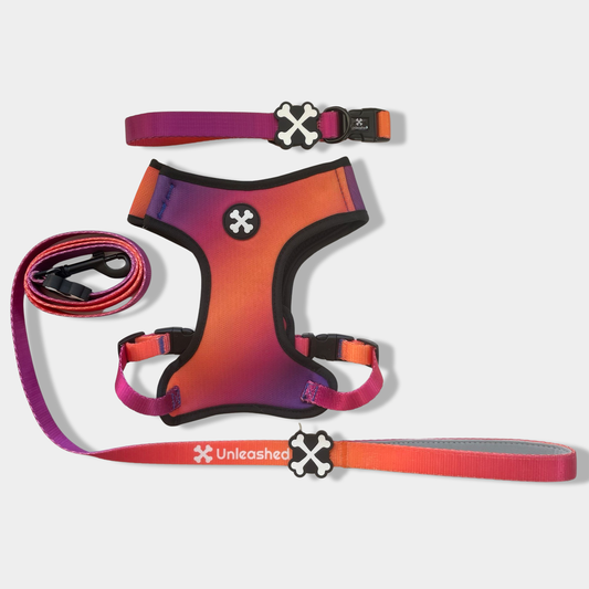 Sunset Serenity Full Bundle Dog Collar, Leash & Harness