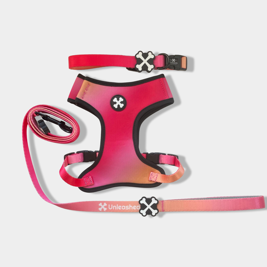Pink Lemonade Full Bundle Dog Collar, Leash & Harness