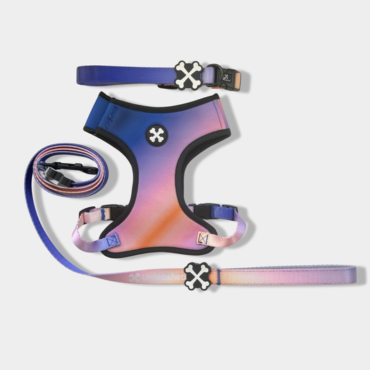 Violet Horizon Full Bundle Dog Collar, Leash & Harness