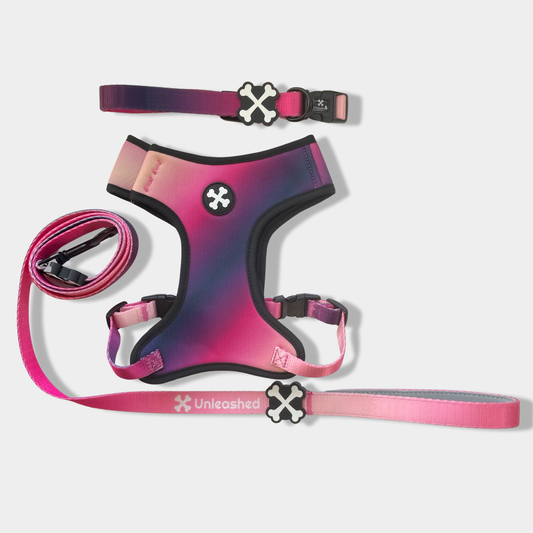 Midnight Berry Full Bundle Dog Collar, Leash & Harness
