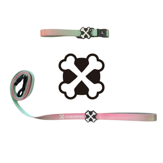 Summer Bach Couple Bundle Dog Collar & Leash
