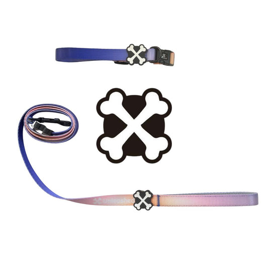 Violet Horizon Couple Bundle Dog Collar & Leash