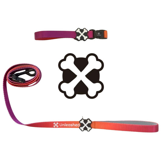Sunset Serenity Couple Bundle Dog Collar & Leash