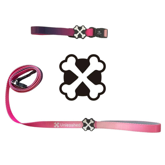 Midnight Berry Couple Bundle Dog Collar & Leash