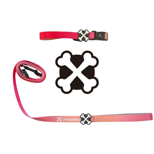Pink Lemonade Couple Bundle Dog Collar & Leash